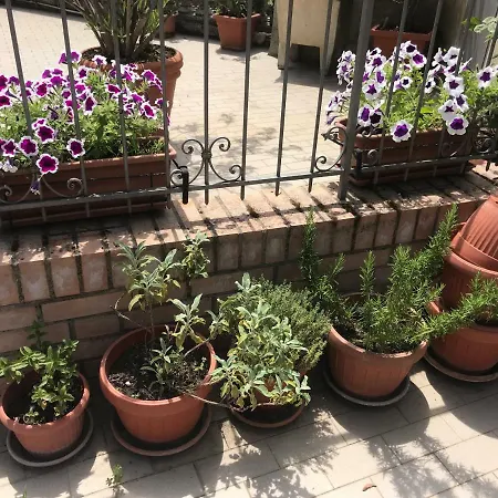 Pian D'ovile Apartment